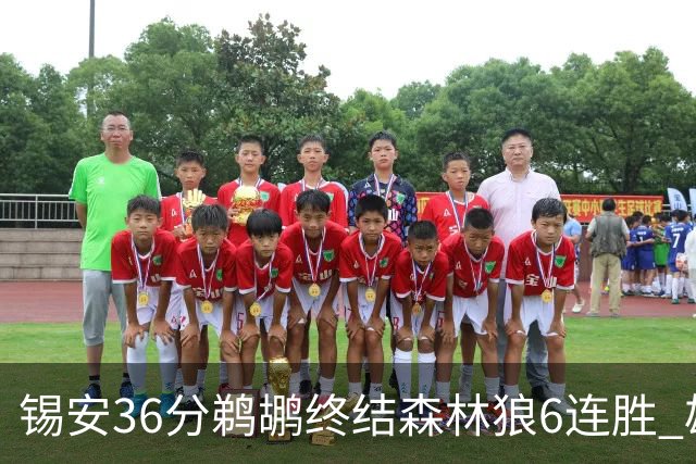 锡安36分鹈鹕终结森林狼6连胜 雄鹿险胜公牛